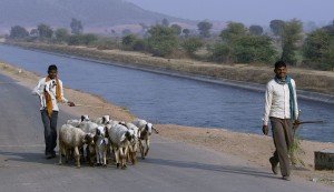 Shepherds, Chambai, India