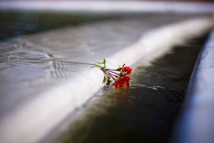 "Lonely" Some rights reserved (CC BY-NC-ND 2.0) by Davide Cassanello. Sourced from Flickr