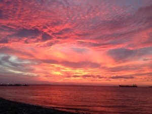 Sunset, Foxtrap, NL Conception Bay